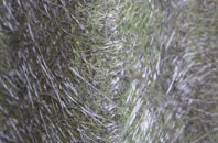 Horningtops fibreglass roof work